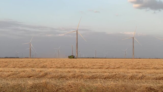 Combine harvester working in wheat field with wind turbines
