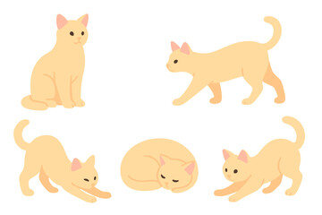 Obraz premium Five adorable light orange cats in various poses sitting walking stretching and sleeping