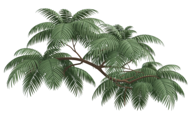 Vibrant palm leaves reaching towards the sky, evoking tropical vibes and natural beauty for travel and lifestyle projects, offering a refreshing look.