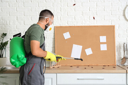 Male pest control specialist disinfecting counter for cockroaches in kitchen