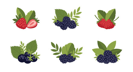 Collection of ripe berries and green leaves arranged in small clusters.