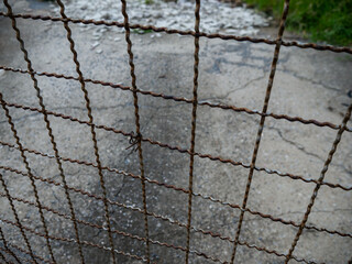 Close up of old rusty wire mesh fence with blurred river and green nature background in outdoor environment