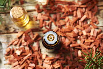 Aromatherapy essential oil in a brown glass bottle with red sandalwood chips
