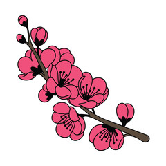 Pink Cherry Blossom Branch Vector: Spring Flowers on Twig Illustration