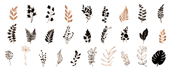 Big hand drawn colorful plant set of wildflowers and ferns - universally usable. Botanical, chic and trendy plants. Elegant leaves for your own design. Flower branch and minimalistic modern plants.