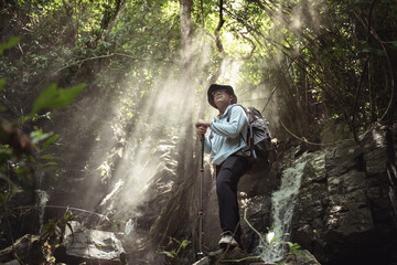 Scenic Hiker in Lush Forest Surrounded by Mist and Sunlight, Exploring Nature, Embracing Adventure in Serene Wilderness Landscape