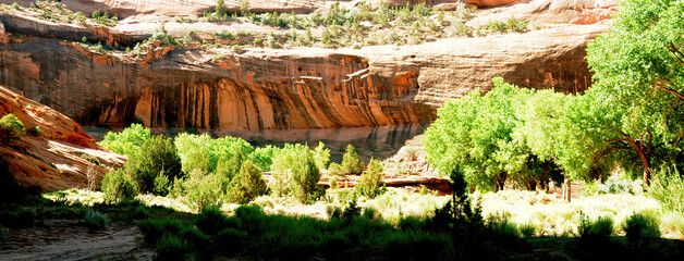 Surrounding Terrain, Cliffs, and Valley Canyon De Chelly Arizona