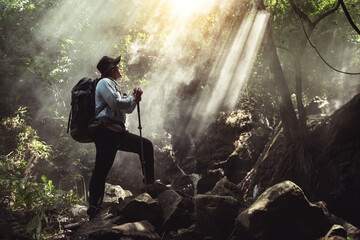 Adventurous Hiker Standing on Rocks in Lush Green Forest Bathed in Sunlight Rays with Mist for...