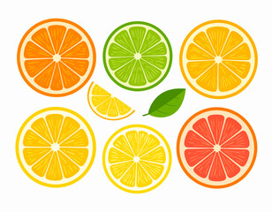 Fototapeta premium isolated orange fruit vector set