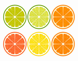 Obraz premium isolated orange fruit vector set