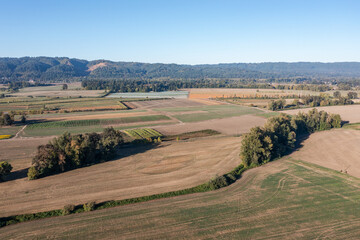 Obraz premium High resolution aerial drone photo of open farmland on Sauvie Island in Portland Oregon, showing wide agricultural fields, roads, trees, and distant hills under clear blue sky on a calm autumn morning