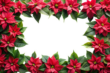 Vibrant red poinsettia flowers bordering a black rectangular space for festive design