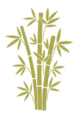 Obraz premium Bamboo Stalk Vector Illustration Green Plant Tropical Nature Asia Zen