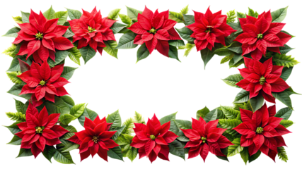 Elegant red poinsettia flower frame with green leaves festive holiday decoration botanical beauty