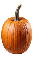 Detailed photo of an orange pumpkin with stem isolated on a plain backdrop