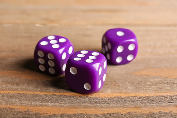 Purple dices on wooden background