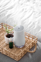 Tray with air humidifier, essential oil and plant on bench in bedroom, closeup