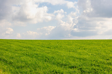 Autumn landscape view of slope hilly green meadow under blue sky and white fluffy clouds, Grass field on hillside with warm sunlight in the afternoon, Natural greenery background.