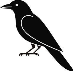 Obraz premium crow on a white background