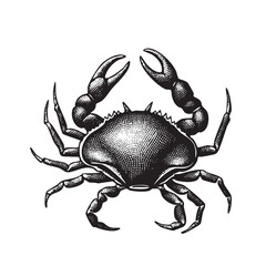 Vintage Engraved Crab Illustration – Detailed Black and White Marine Animal Artwork