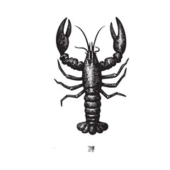 Vintage Engraved Lobster Illustration &ndash; Antique Black and White Marine Creature Drawing
