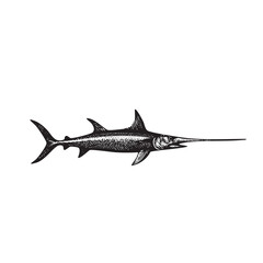 Vintage Engraved Swordfish Illustration – Detailed Black and White Sea Animal Drawing
