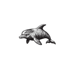 Vintage Engraved Dolphin Illustration &ndash; Antique Black and White Ocean Mammal Drawing
