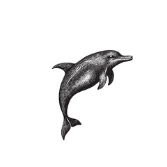 Vintage Engraved Dolphin Illustration &ndash; Antique Black and White Ocean Animal Drawing
