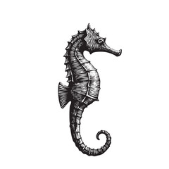 animales marinosVintage Engraved Seahorse Illustration &ndash; Antique Black and White Marine Animal Drawing
