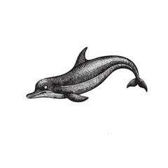 Vintage Engraved Dolphin Illustration &ndash; Antique Black and White Ocean Animal Drawing
