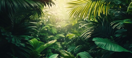 Lush Tropical Rainforest