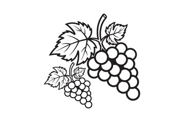 Elegant black and white vector illustration of grape bunches with leaves. Perfect for wine labels, logos, coloring pages, packaging design, and digital artwork.