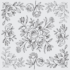 set of floral elements. Line art floral botanical design