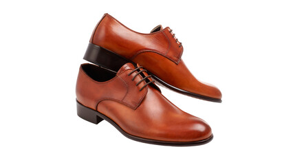 Brown leather dress shoes isolated on white background elegant formal men footwear