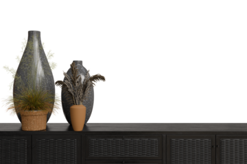 Two decorative vases and a potted plant sit on a dark, textured surface transparent background, creating a minimalist, modern aesthetic. The vases hold grasses and dried arrangements