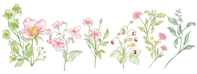 Watercolor floral bouquet illustration. pink blush flower green leaf leaves branches bouquet. Wedding stationary, greetings, wallpapers, fashion, background.
