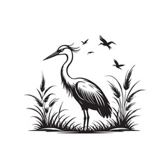 Exotic crane or heron bird
