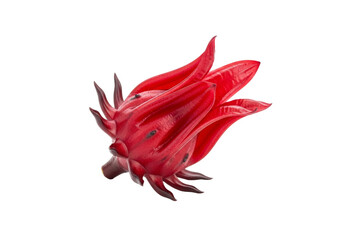 Fresh Vibrant Red Roselle Hibiscus Calyces Isolated on Transparent