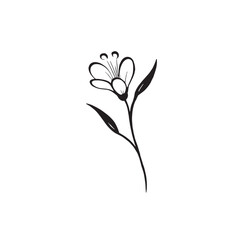 Minimalist small plant or leaf Logotype Icon
