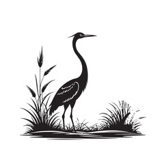 Exotic crane or heron bird
