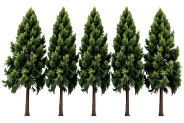 Fototapeta premium five tall trees standing side by side, showcasing their lush green foliage