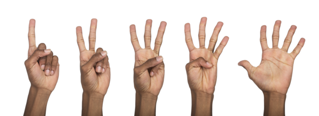 Hand counting numbers with fingers raised upward, showing one to five in sequential gesture for