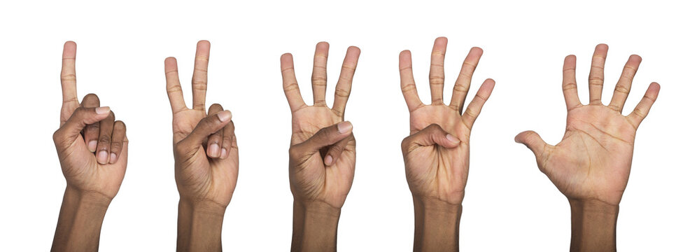 Hand counting numbers with fingers raised upward, showing one to five in sequential gesture for