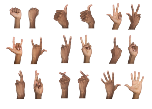 Hand gesture set with different signs, including fist, thumb up, peace, and pointing poses,