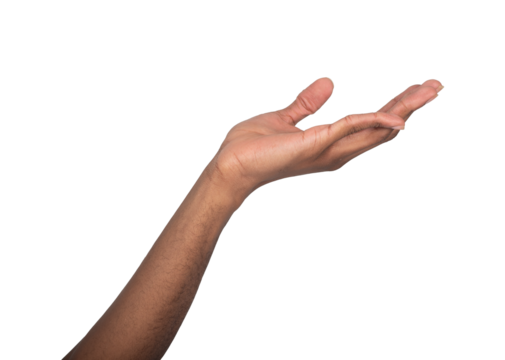 Hand open and cupped in gentle gesture, palm raised and fingers curved as if displaying or