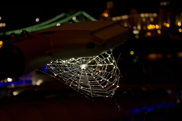 Spider in spider web on street lamp. Night lantern illuminating a spider web with a close-up of the spider