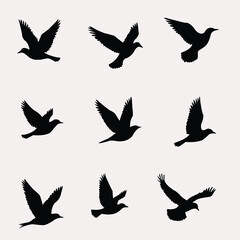 set of silhouettes of birds