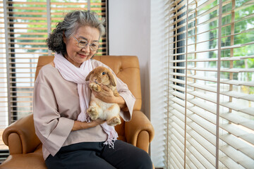 An elderly person sits peacefully in a cozy home, gently holding a rabbit in their arms, expressing tenderness, emotional bonding, comfort of pet companionship in a serene moment of aging with dignity
