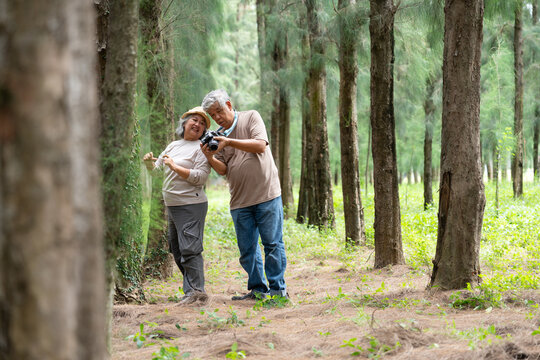 A senior couple enjoys retirement together, exploring the outside world with a joyful spirit. Their romantic bond and caring relationship grow stronger with age, embracing travel and shared memories.