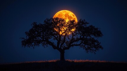 Silhouette of a tree against a brilliant, full, orange moon at dusk